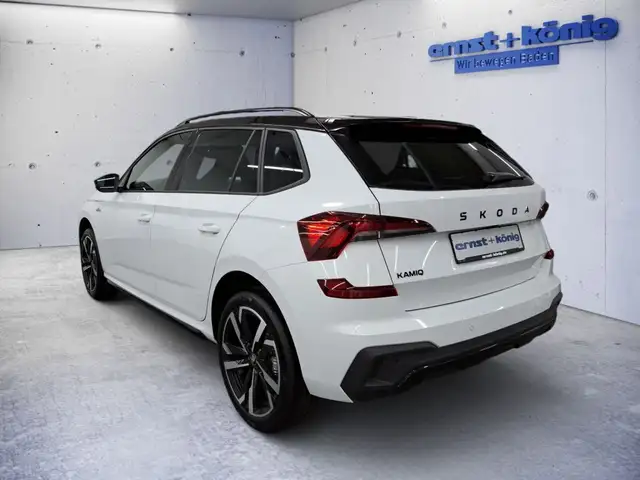 Skoda Kamiq view 4