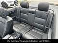 BMW 320 i Cabrio *BI-XENON/SHZ/PDC/TEMPOMAT/AHK* Negro - thumbnail 20