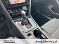 Volkswagen Passat Variant Business TDI DSG Grau - thumbnail 19