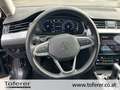 Volkswagen Passat Variant Business TDI DSG Grau - thumbnail 16