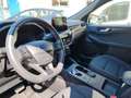 Ford Kuga Kuga AWD 2.0 Tdci190 CVAllestimento ST-Line Grau - thumbnail 14