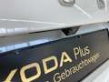 Skoda Superb Combi Ambition 2.0TDI DSG ACC LM SHZ NAVI Weiß - thumbnail 21