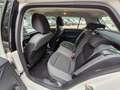 Skoda Fabia Ambition 8-Fach 1.Hand Klima Service neu Weiß - thumbnail 15