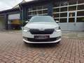 Skoda Fabia Ambition 8-Fach 1.Hand Klima Service neu Weiß - thumbnail 2