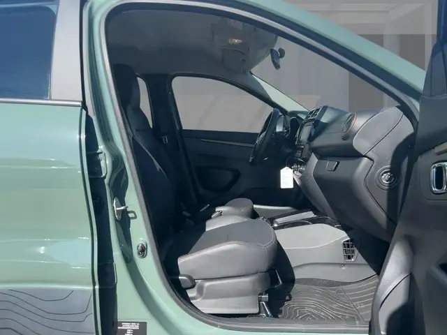 Dacia Spring view 8