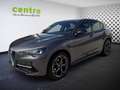 Alfa Romeo Stelvio 2,2 Ti Q4 210 8x bereift Grau - thumbnail 2