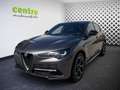 Alfa Romeo Stelvio 2,2 Ti Q4 210 8x bereift Grau - thumbnail 1