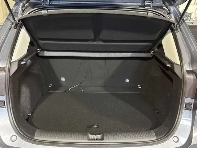 MG ZS view 7