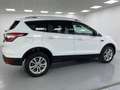 Ford Kuga 2.0 TDCI 115 CV 2WD Titanium Bianco - thumbnail 1