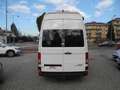 Volkswagen Grand California 2.0 BiTDI 177cv autom -GancioTraino-IVA Detraibile Bianco - thumbnail 4