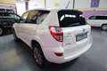 Toyota RAV 4 2.2D-CAT Executive 4x4 CS AutoDrive Bianco - thumbnail 7