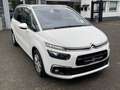 Citroen Grand C4 Picasso /Spacetourer Feel Bianco - thumbnail 8