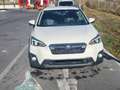 Subaru XV XV 2.0i-S CVT Style Allrad Aut. Style Weiß - thumbnail 25