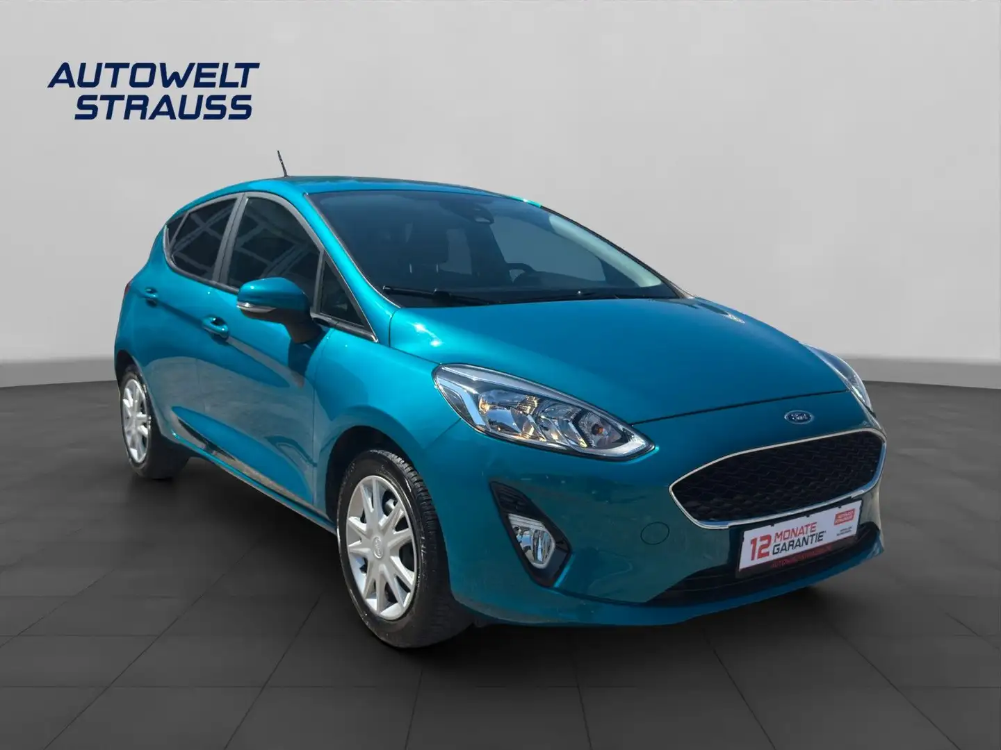 Ford Fiesta FIESTA 1.0 ECOBOOST/1.HD/TEMP/SHZ/12 M. GARANTIE Blu/Azzurro - 1