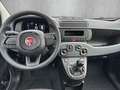 Fiat Panda 1.0 Firefly Hybrid //PDC hinten/Spurhalteassistent Schwarz - thumbnail 4
