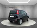 Fiat Panda 1.0 Firefly Hybrid //PDC hinten/Spurhalteassistent Schwarz - thumbnail 3