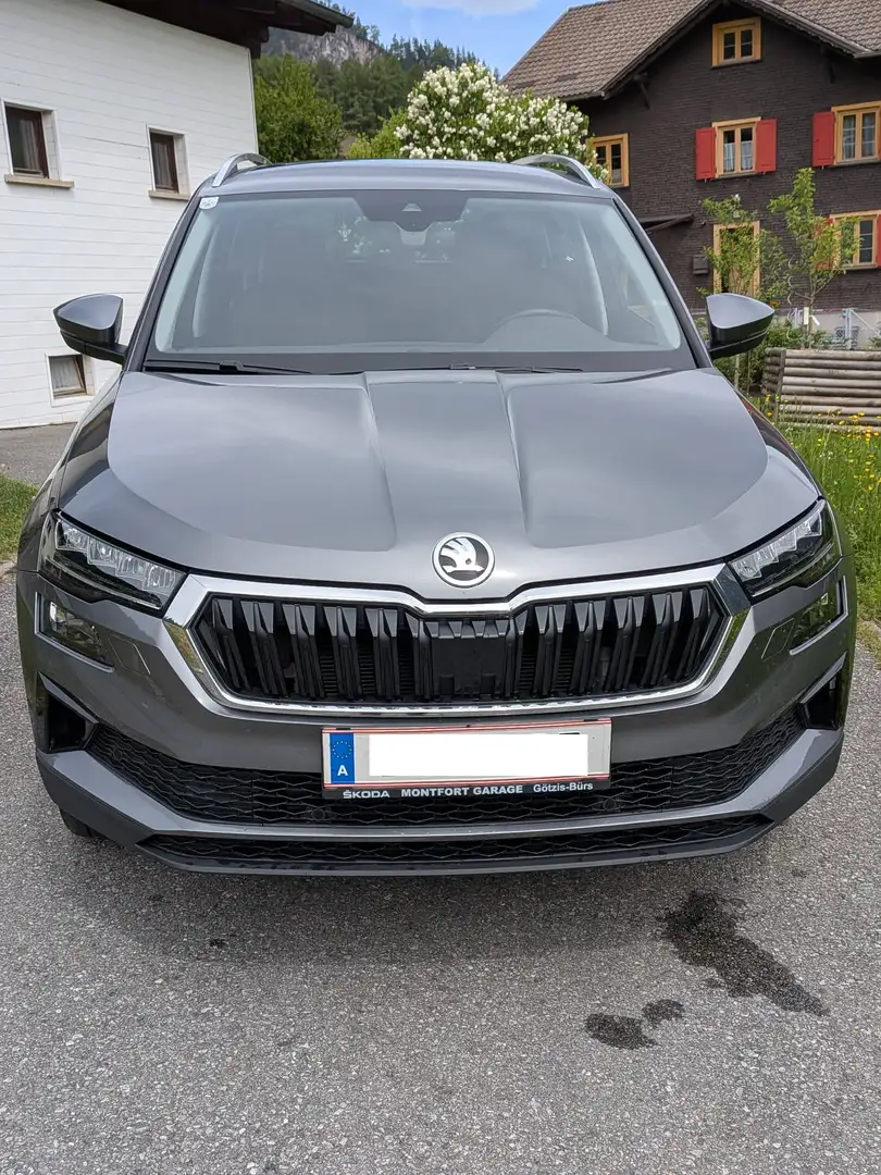 Skoda Karoq Karoq 1,0 TSI Style Style Grau - 1