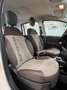 Fiat Panda Panda Cross 1.3 MJT 95 CV S&S 4x4 Bianco - thumbnail 10