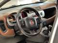 Fiat Panda Panda Cross 1.3 MJT 95 CV S&S 4x4 Bianco - thumbnail 7