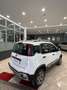 Fiat Panda Panda Cross 1.3 MJT 95 CV S&S 4x4 Bianco - thumbnail 6