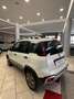 Fiat Panda Panda Cross 1.3 MJT 95 CV S&S 4x4 Bianco - thumbnail 4