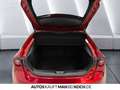 Mazda 3 5HB 2.5L 140ps 6AT FWD Homura HUD ACC Bluetooth Rot - thumbnail 14