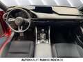 Mazda 3 5HB 2.5L 140ps 6AT FWD Homura HUD ACC Bluetooth Rot - thumbnail 8
