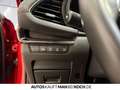 Mazda 3 5HB 2.5L 140ps 6AT FWD Homura HUD ACC Bluetooth Rot - thumbnail 16