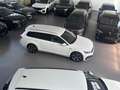 Volkswagen Passat Variant 1.4 DSG GTE AID/AHK/HUD/MATRIX/18 Weiß - thumbnail 19