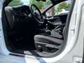 Ford Focus 2.0 EcoBlue Limo ST-Line *AHK-NAVI-SHZ-LED-APP CON Bianco - thumbnail 6