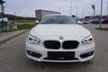 BMW 116 d Advantage Weiß - thumbnail 1