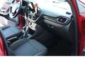 Ford Puma Titanium LED Navi PDC Massage privacy Rosso - thumbnail 14