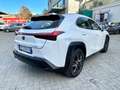 Lexus UX 200 UX 250h 2.0 F-Sport 2wd cvt Garanzia 12M bijela - thumbnail 5