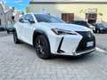 Lexus UX 200 UX 250h 2.0 F-Sport 2wd cvt Garanzia 12M Weiß - thumbnail 3