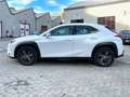 Lexus UX 200 UX 250h 2.0 F-Sport 2wd cvt Garanzia 12M bijela - thumbnail 2