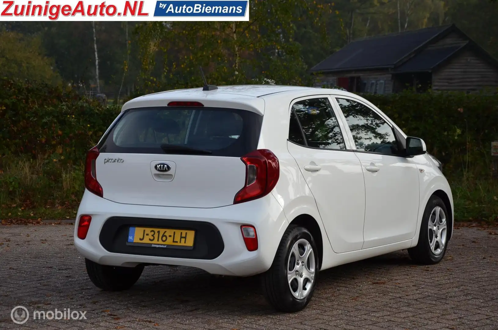 Kia Picanto 1.0i ComfortLine 5p Cruisecontr. 1e eigen. Blanc - 2