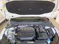 Volkswagen Golf GTI 2.0 TSI 180kW Klima*Tempo*Nav*PDC*SH Blanc - thumbnail 5