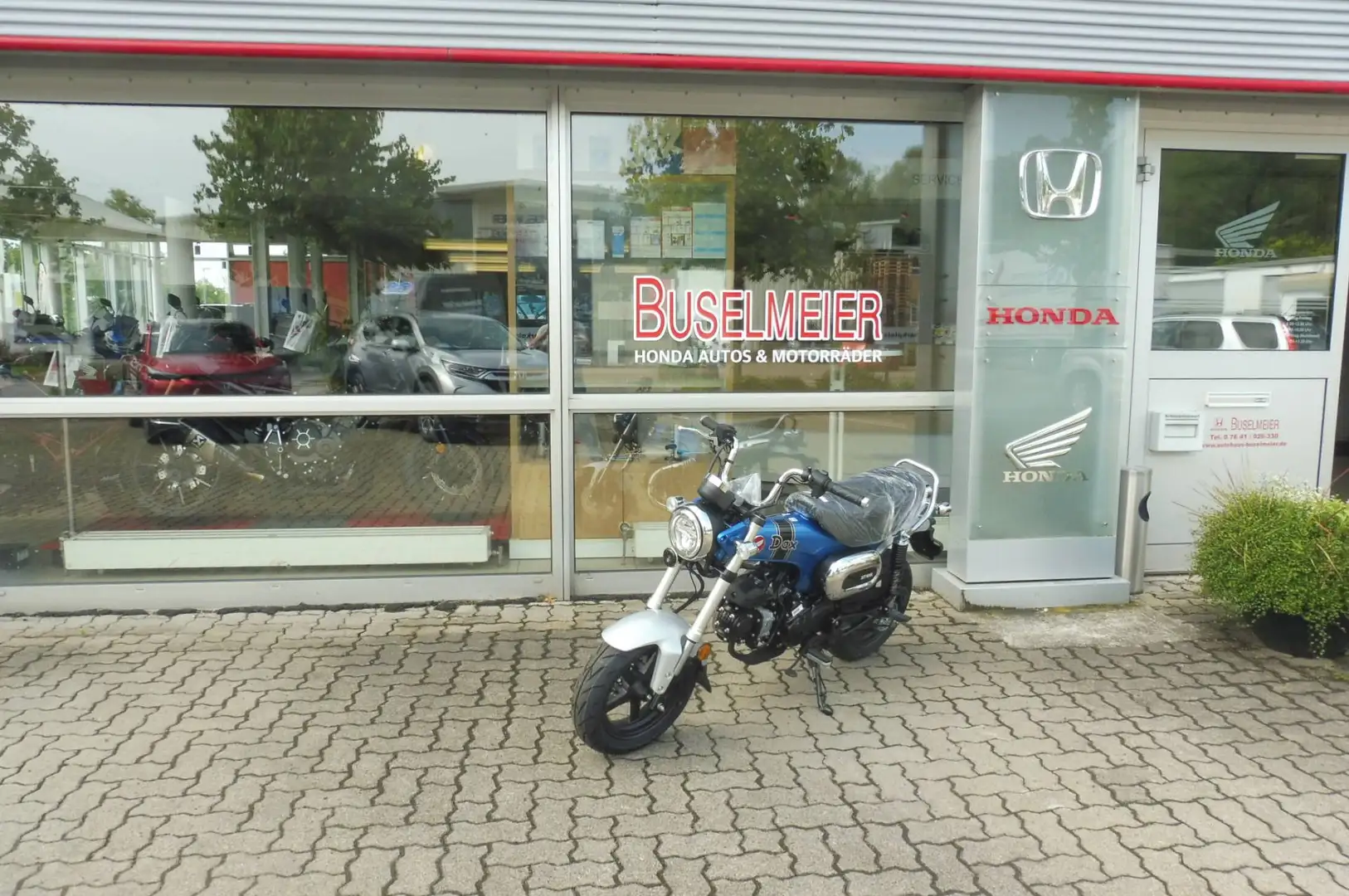 Honda DAX ST 125 Azul - 1