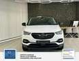 Opel Grandland Business Edition 1 Hand. Lenkrad heizbar. Parkpilo Blanc - thumbnail 2
