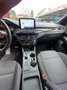 Ford Focus Focus SW 1.5 ecoblue ST-Line Co-pilot Blu/Azzurro - thumbnail 9