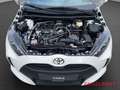 Toyota Yaris 1.5 Hybrid Business Edition Weiß - thumbnail 14