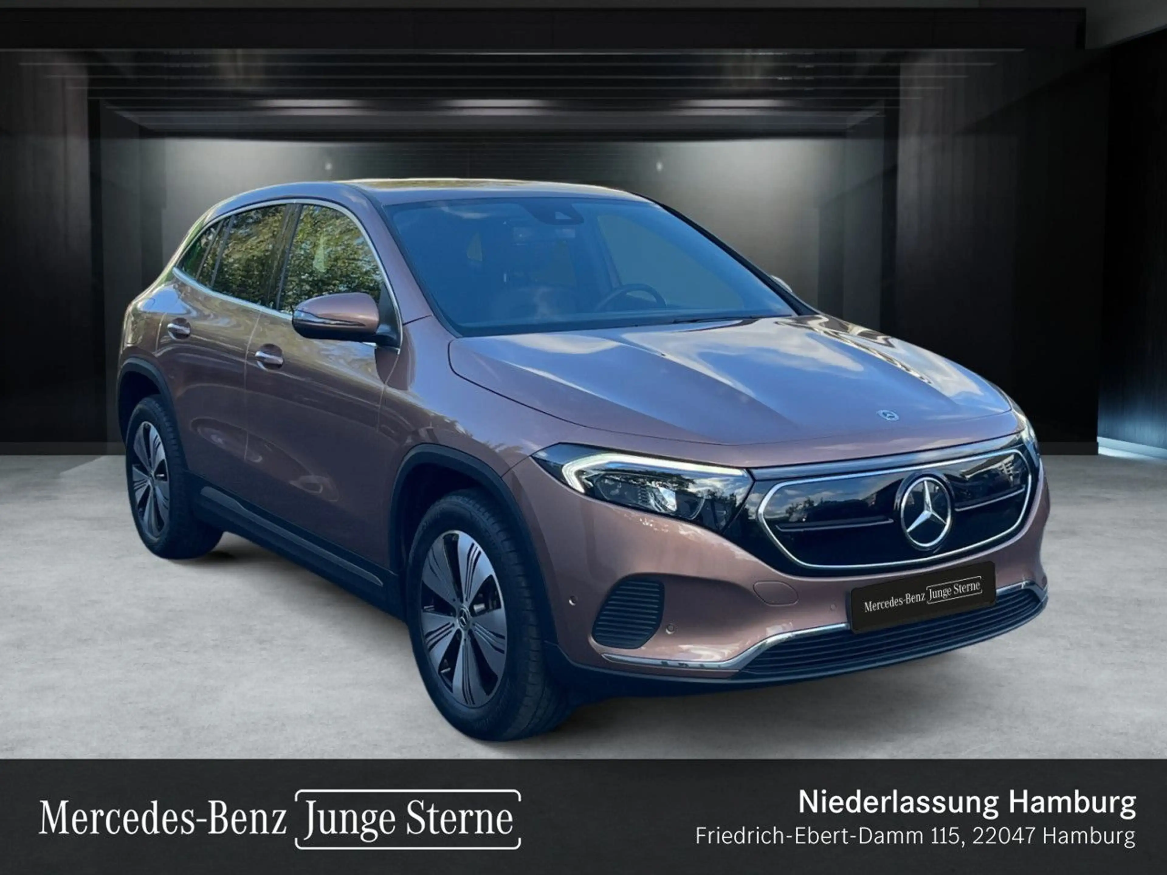 Mercedes-Benz EQA 250 PROG+ADVANCED+KAMERA+SPUR — photo 2