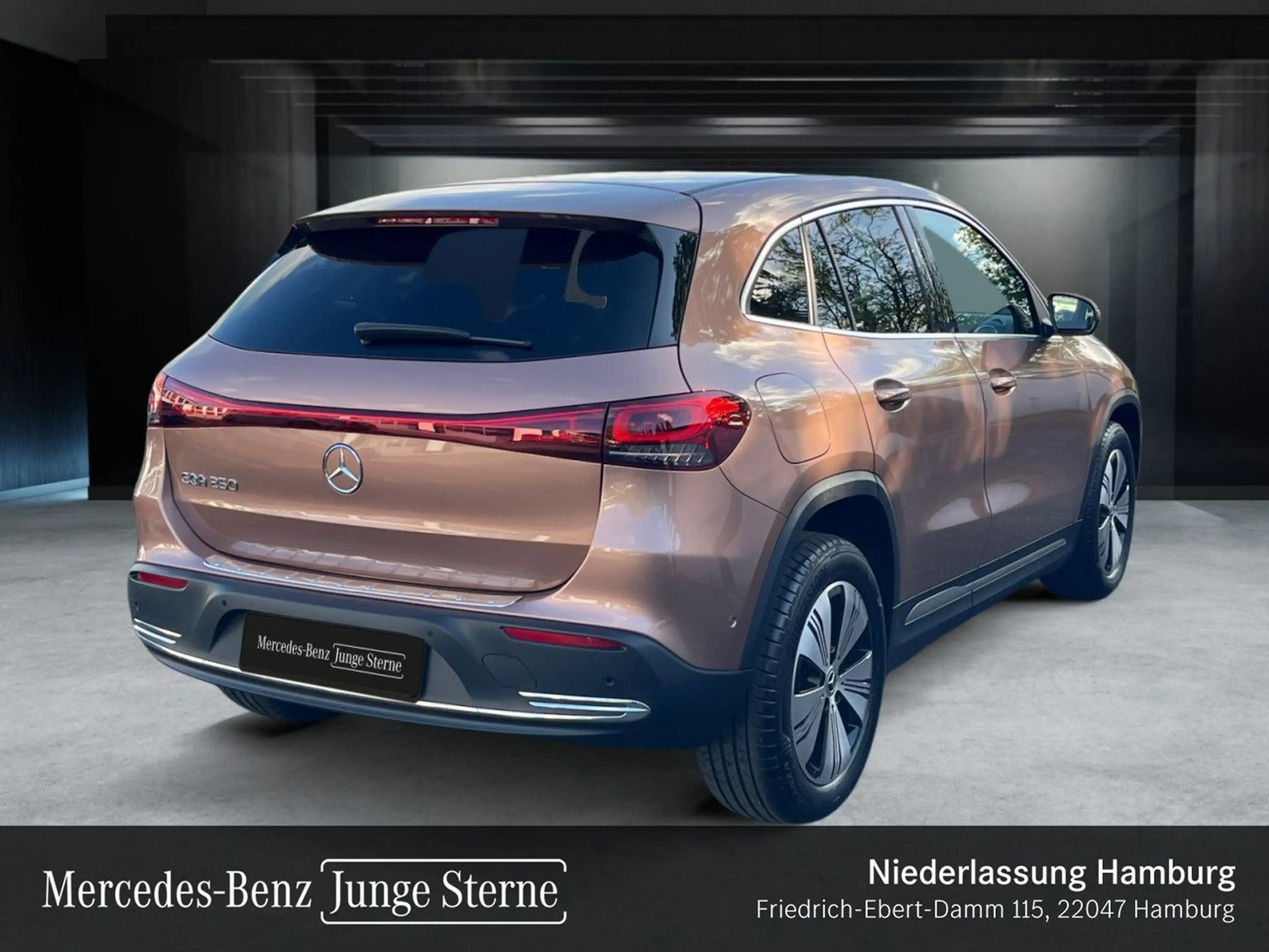 Mercedes-Benz EQA 250 PROG+ADVANCED+KAMERA+SPUR — photo 5