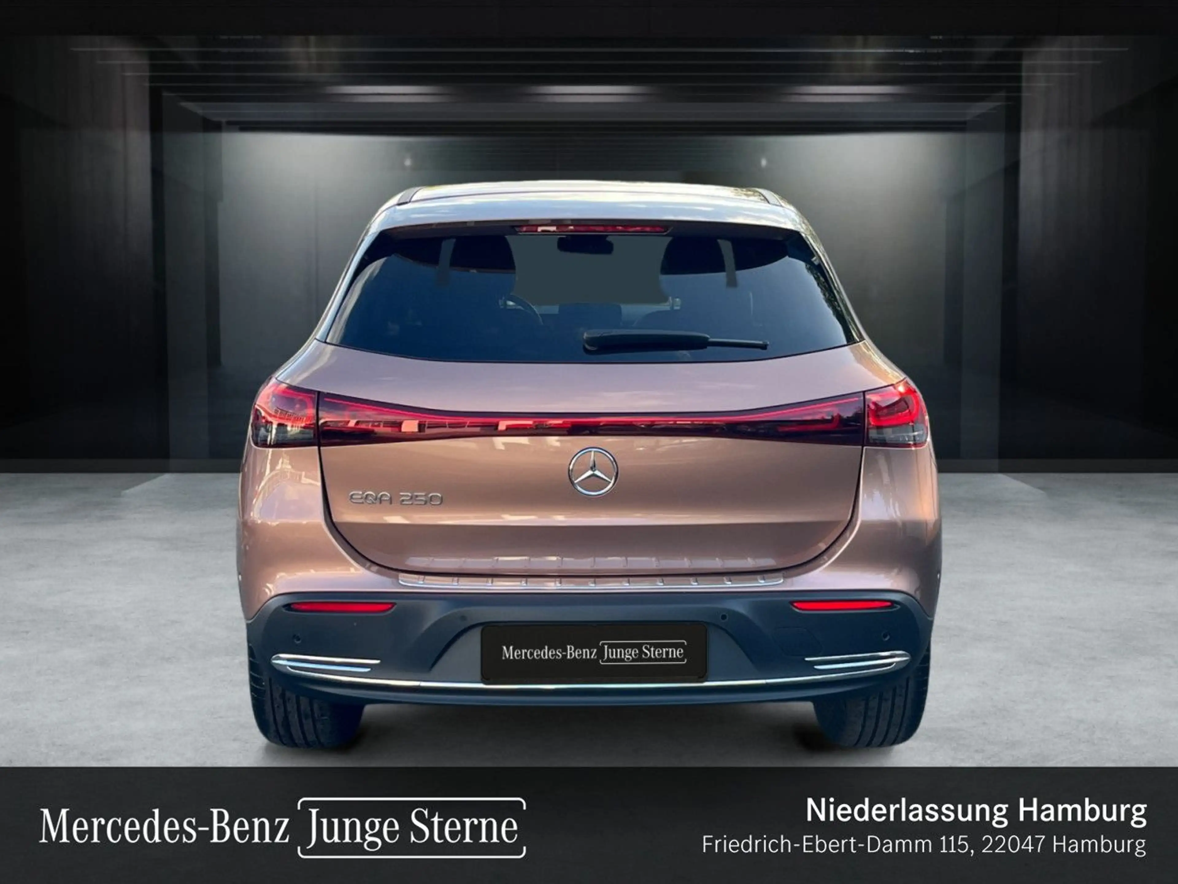 Mercedes-Benz EQA 250 PROG+ADVANCED+KAMERA+SPUR — photo 6