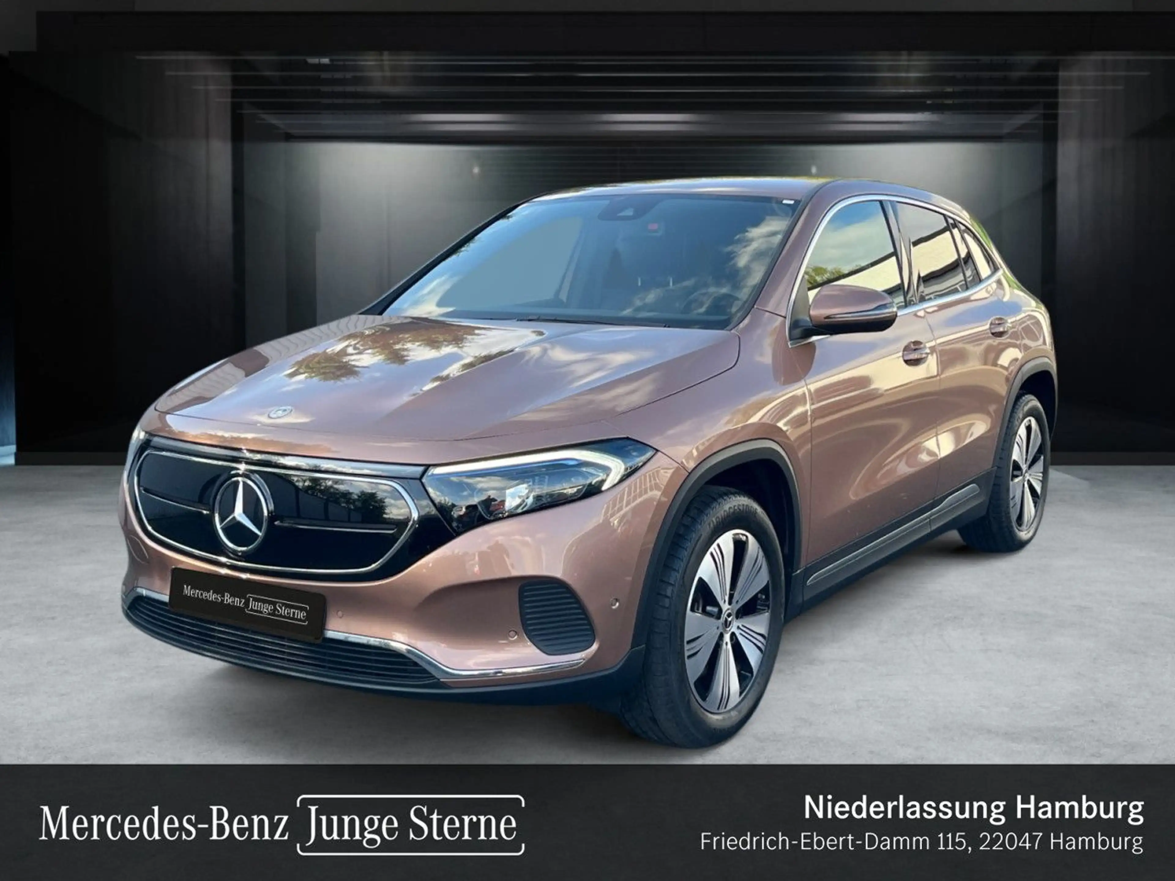 Mercedes-Benz EQA 250 PROG+ADVANCED+KAMERA+SPUR — photo 10