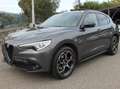 Alfa Romeo Stelvio Stelvio 2017 2.2 t Q4 190cv auto my19 Grigio - thumbnail 4