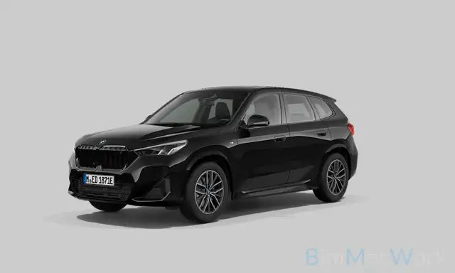 BMW X1 xD30 M Sport Kamera Panorama AHK DrivAsssist