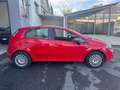 Fiat Punto 1.2 8V 5 porte Young   ** NEOPATENTATI ** Rouge - thumbnail 5
