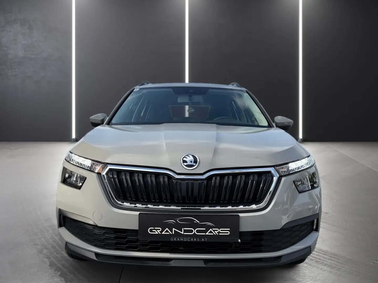 Skoda Kamiq 1,0 TSI Active Grau - 2