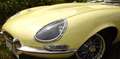 Jaguar E-Type Serie I  Coupé,Traumwagen für die nächste Saison Gelb - thumbnail 5